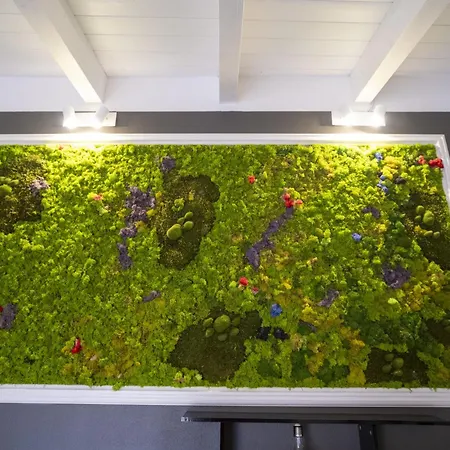 Domo San Leone - Storica Con Vasca Idromassaggio, Giardino E Parcheggio Privato