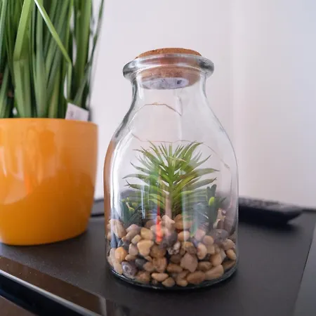 Πανσιόν Domo San Leone