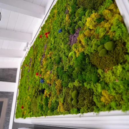 Domo San Leone ゲストハウス 3*