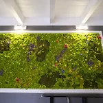 Domo San Leone - Storica Con Vasca Idromassaggio, Giardino E Parcheggio Privato