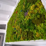 Domo San Leone - Storica Con Vasca Idromassaggio, Giardino E Parcheggio Privato بيت ضيافة 3*