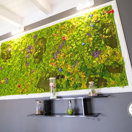 Domo San Leone 3* Uta