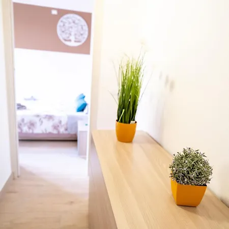 Domo San Leone Maison d'hôtes Uta